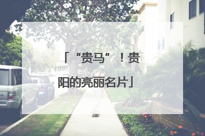 “贵马”！贵阳的亮丽名片