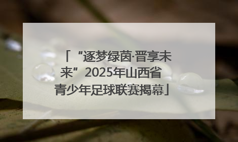“逐梦绿茵·晋享未来”2025年山西省青少年足球联赛揭幕