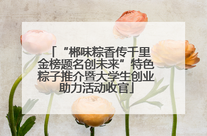 “郴味粽香传千里 金榜题名创未来”特色粽子推介暨大学生创业助力活动收官