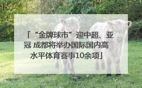 “金牌球市”迎中超、亚冠 成都将举办国际国内高水平体育赛事10余项