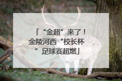 “金超”来了！金陵河西“校长杯”足球赛超燃