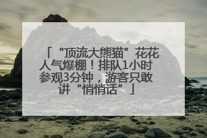 “顶流大熊猫”花花人气爆棚！排队1小时参观3分钟，游客只敢讲“悄悄话”
