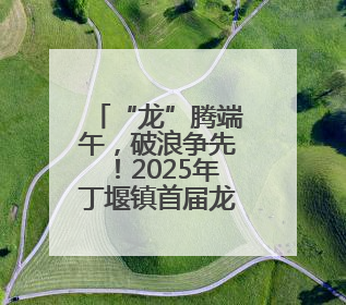 “龙”腾端午，破浪争先！2025年丁堰镇首届龙舟赛举行