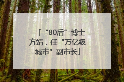 “80后”博士方靖，任“万亿级城市”副市长