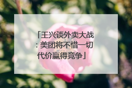 王兴谈外卖大战：美团将不惜一切代价赢得竞争