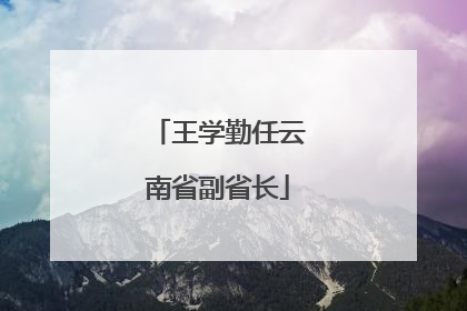 王学勤任云南省副省长