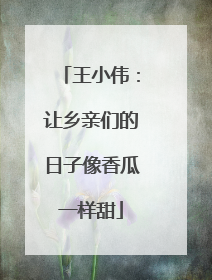王小伟：让乡亲们的日子像香瓜一样甜