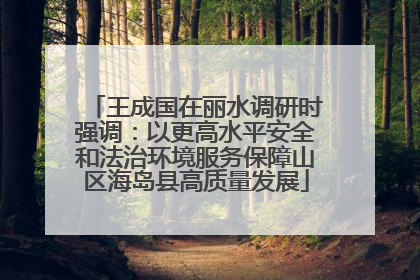 王成国在丽水调研时强调：以更高水平安全和法治环境服务保障山区海岛县高质量发展
