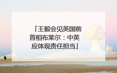 王毅会见英国前首相布莱尔：中英应体现责任担当
