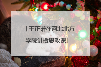 王正谱在河北北方学院讲授思政课