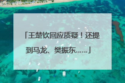 王楚钦回应质疑！还提到马龙、樊振东……