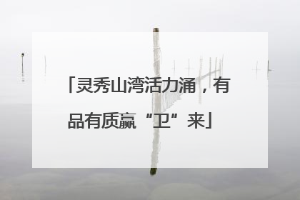 灵秀山湾活力涌，有品有质赢“卫”来
