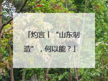 灼言丨“山东制造”，何以能？