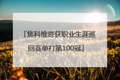焦科维奇获职业生涯巡回赛单打第100冠
