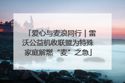 爱心与麦浪同行｜雷沃公益机收联盟为特殊家庭解燃“麦”之急