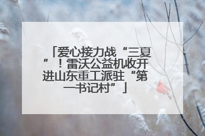 爱心接力战“三夏”！雷沃公益机收开进山东重工派驻“第一书记村”