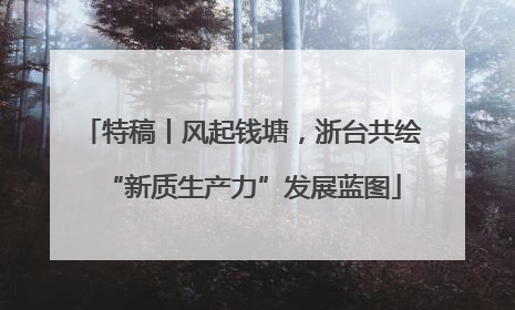 特稿丨风起钱塘，浙台共绘“新质生产力”发展蓝图