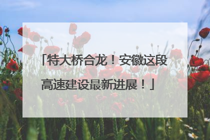 特大桥合龙！安徽这段高速建设最新进展！