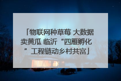 物联网种草莓 大数据卖黄瓜 临沂“四雁孵化”工程链动乡村共富