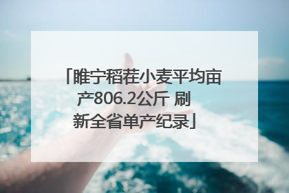 睢宁稻茬小麦平均亩产806.2公斤 刷新全省单产纪录
