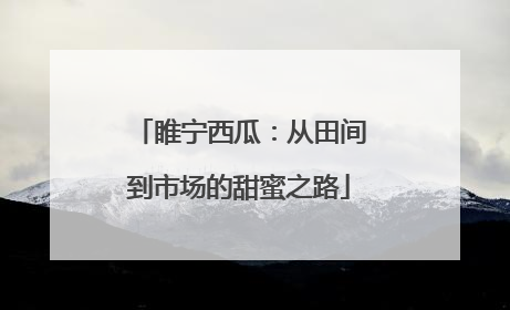 睢宁西瓜：从田间到市场的甜蜜之路