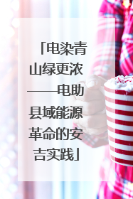 电染青山绿更浓——电助县域能源革命的安吉实践