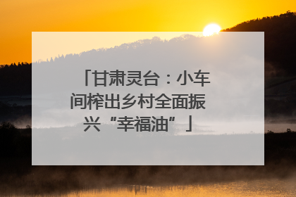 甘肃灵台：小车间榨出乡村全面振兴“幸福油”
