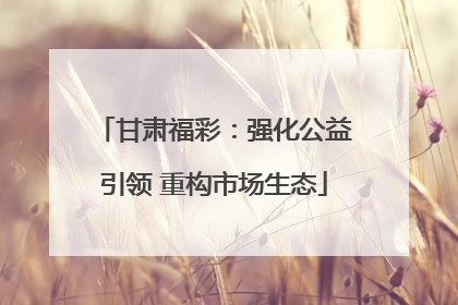 甘肃福彩：强化公益引领 重构市场生态