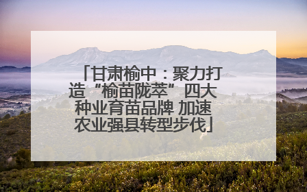 甘肃榆中：聚力打造“榆苗陇萃”四大种业育苗品牌 加速农业强县转型步伐