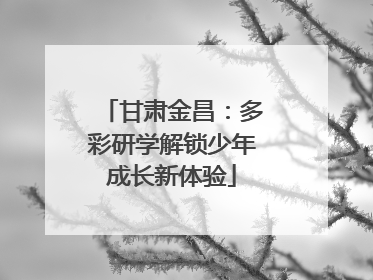 甘肃金昌：多彩研学解锁少年成长新体验