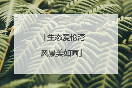 生态爱伦湾 风景美如画