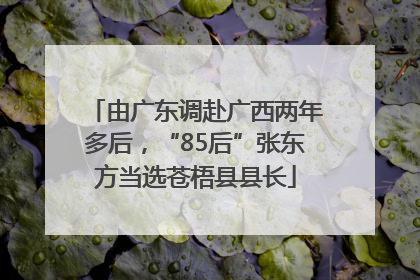 由广东调赴广西两年多后，“85后”张东方当选苍梧县县长