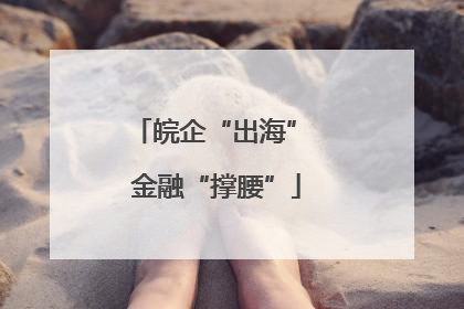 皖企“出海” 金融“撑腰”