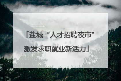 盐城“人才招聘夜市”激发求职就业新活力