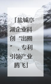盐城亭湖企业科创“出圈”，专利引领产业腾飞