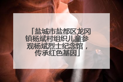 盐城市盐都区龙冈镇杨斌村组织儿童参观杨斌烈士纪念馆，传承红色基因