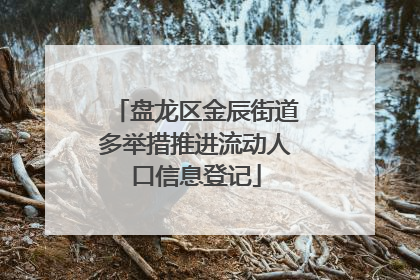 盘龙区金辰街道多举措推进流动人口信息登记
