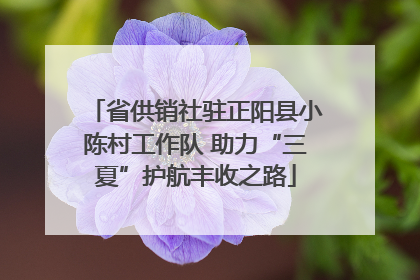 省供销社驻正阳县小陈村工作队 助力“三夏”护航丰收之路