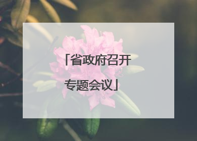 省政府召开专题会议