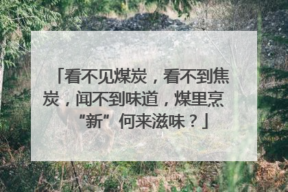 看不见煤炭，看不到焦炭，闻不到味道，煤里烹“新”何来滋味？