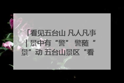 看见五台山 凡人凡事｜景中有“警” 警随“景”动 五台山景区“看得见”的平安守护