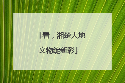 看，湘楚大地文物绽新彩