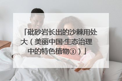 砒砂岩长出的沙棘用处大（美丽中国·生态治理中的特色植物③）