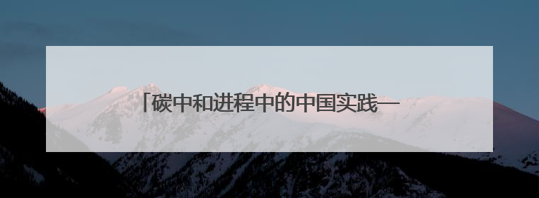 碳中和进程中的中国实践——基于碳市场交易和典型企业案例的观察报告｜旗舰报告