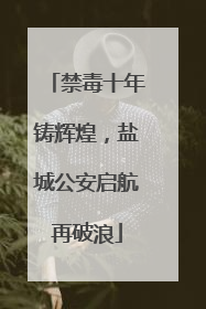 禁毒十年铸辉煌，盐城公安启航再破浪