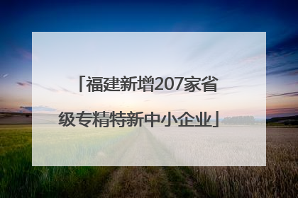 福建新增207家省级专精特新中小企业