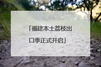 福建本土荔枝出口季正式开启