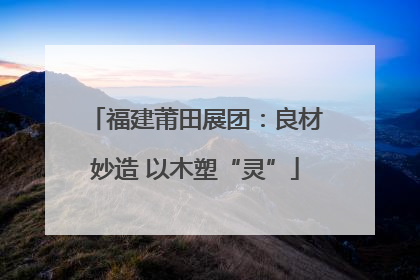 福建莆田展团：良材妙造 以木塑“灵”