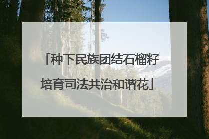 种下民族团结石榴籽 培育司法共治和谐花