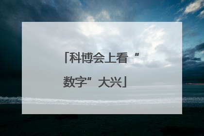 科博会上看“数字”大兴